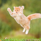 Image via Shutterstock